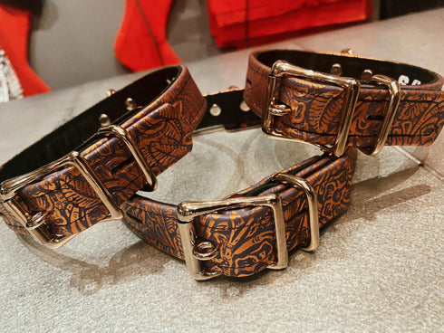 Locking Buckle Collar - Metallic